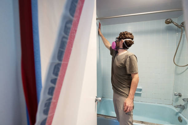 Best Black Mold Removal  in Epworth, IA