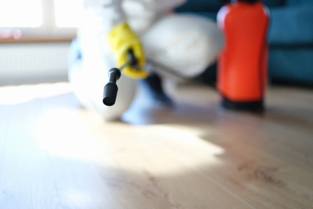 Best Emergency Mold Remediation  in Epworth, IA