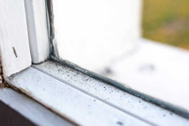Best Crawl Space Mold Remediation  in Epworth, IA