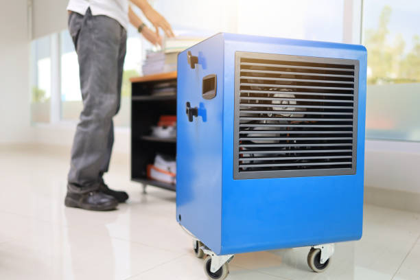 Best Mold Damage Restoration  in Epworth, IA